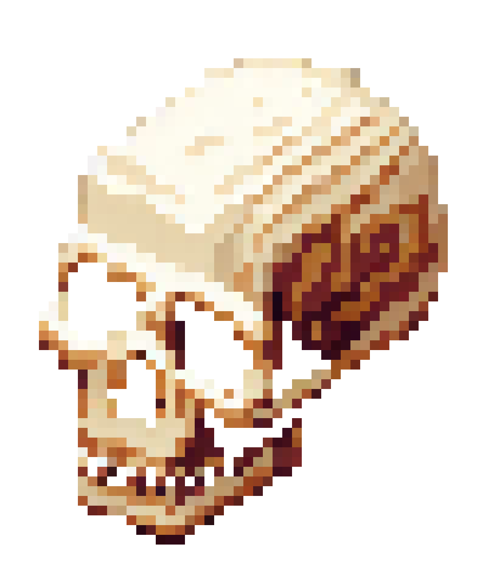 [cfe89f] ISOSkull