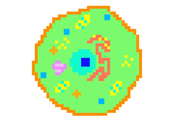 [9664c4] animal cell