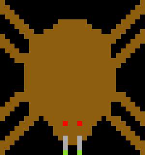 [9664c4] spider
