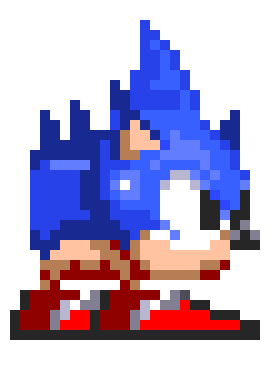 [c9053d] regular hedgehog