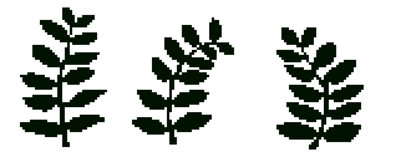 [417eb4] ferns (animate)