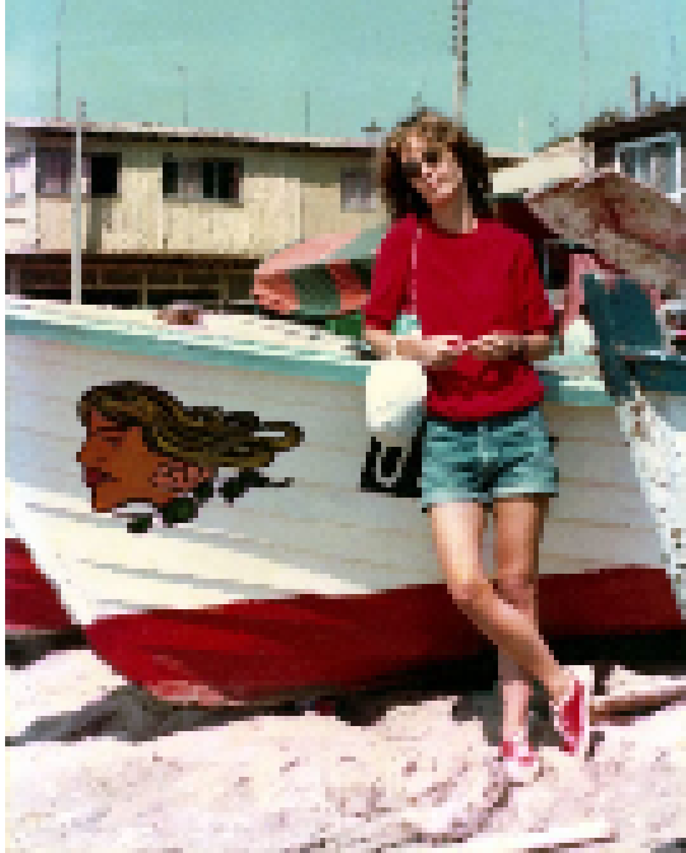 [6e0765] ana cristina cesar