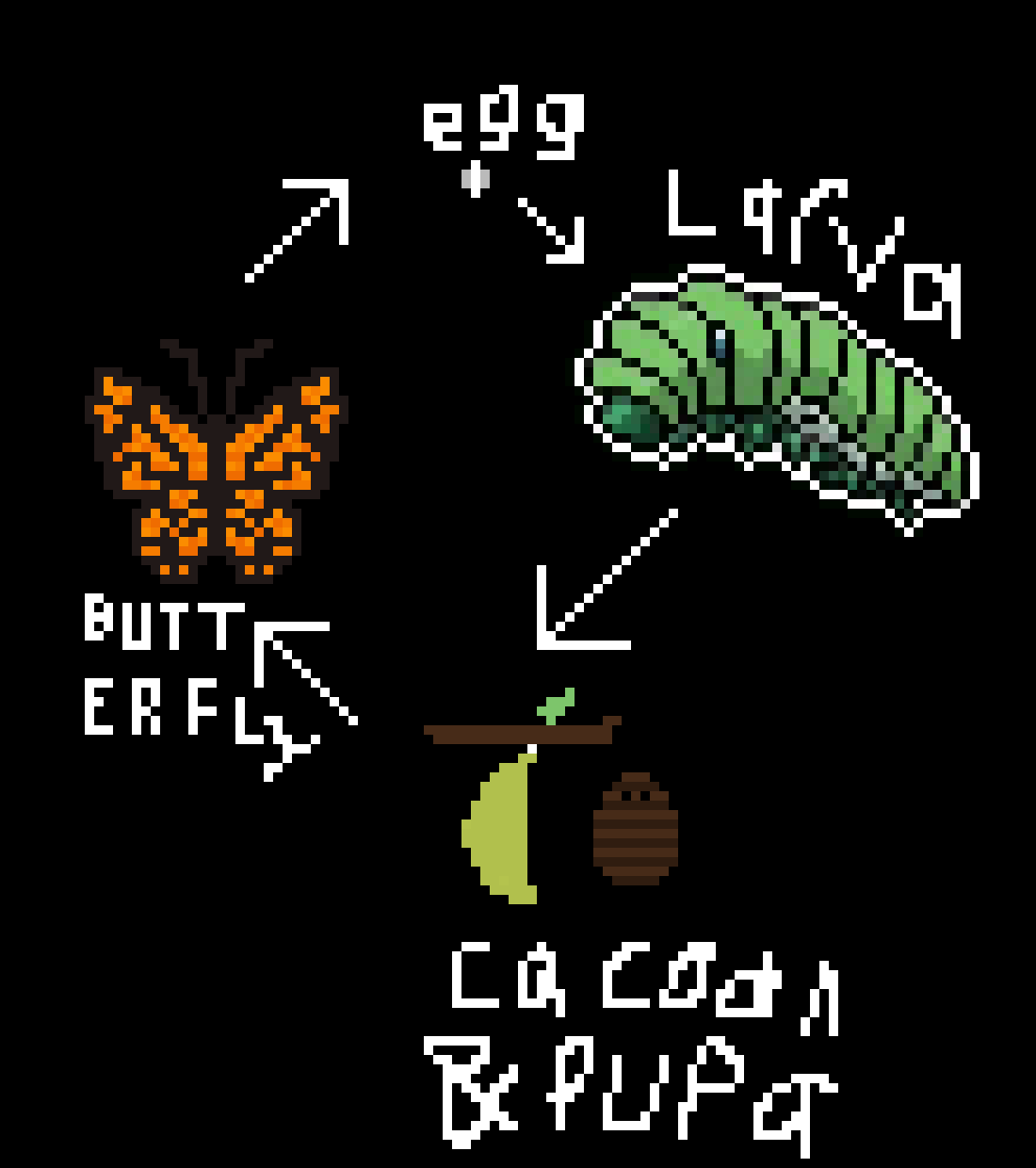 [d082ec] butterfly life cycle