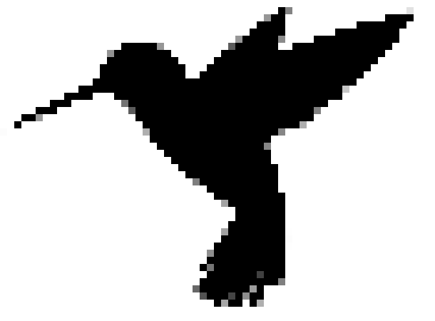 [b99981] Bird