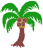 [62ba27] coconut