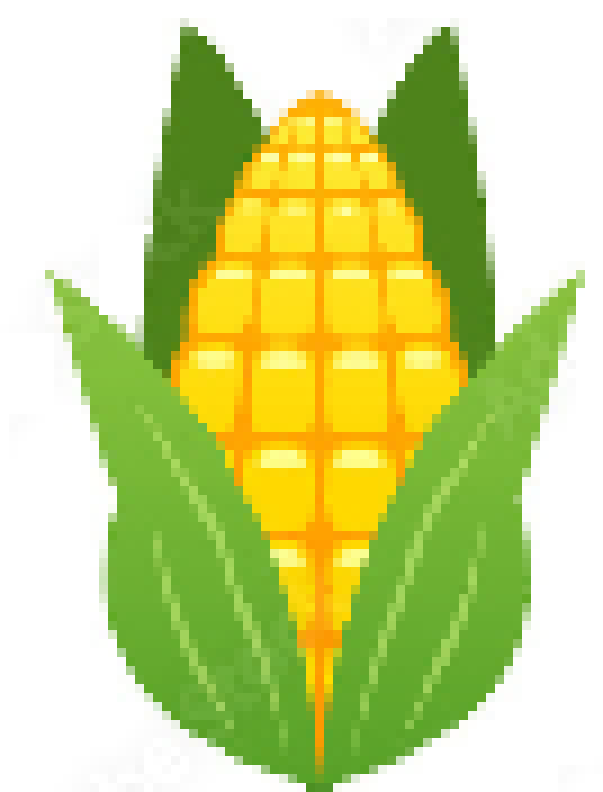 [1134b5] corn