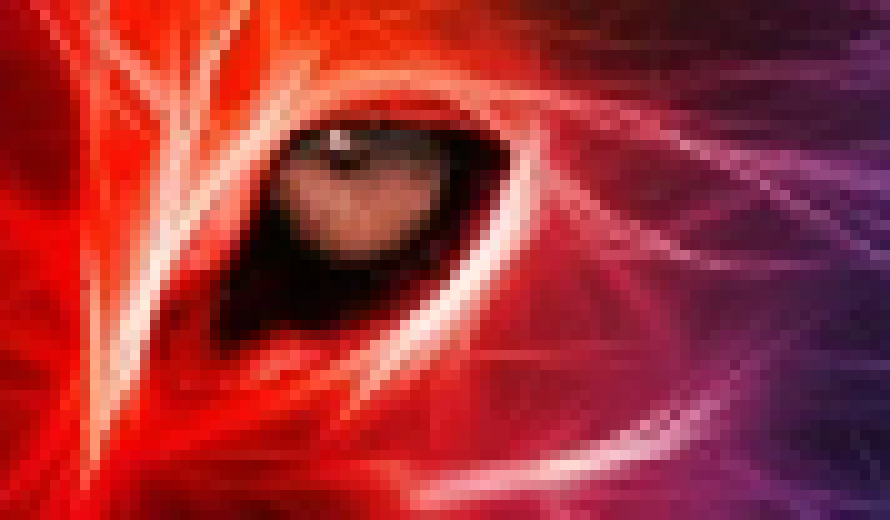 [4dc554] eye