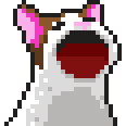 [60349b] katzööö