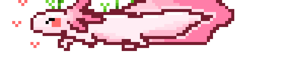 [4202cd] Axolotl