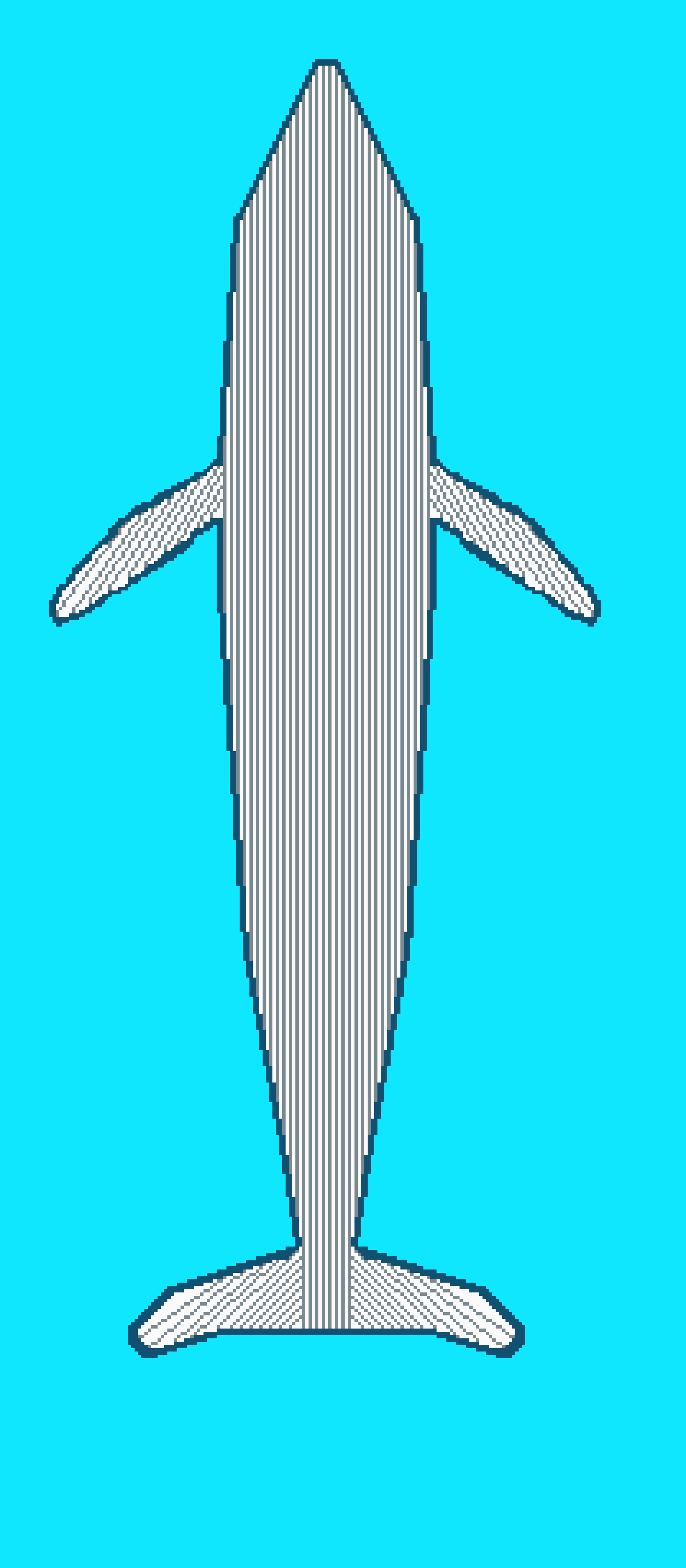 whale skateboard
