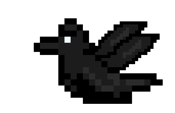 crow flying