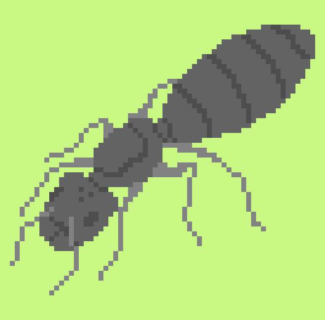 [ea012d] ant