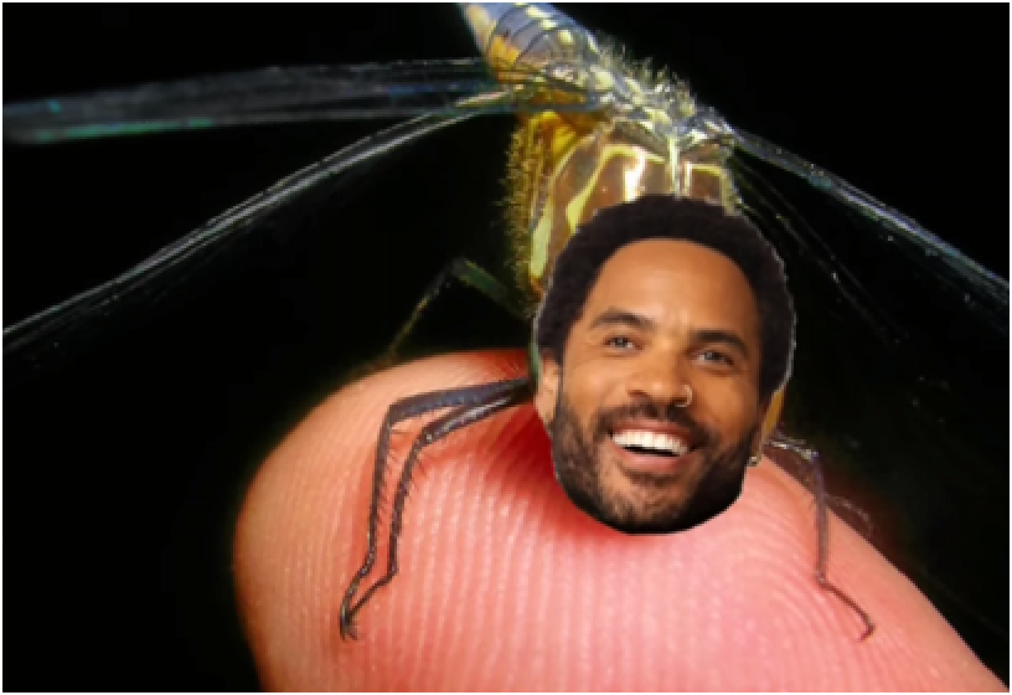 [829614] lenny kravitz dragonfly low quality