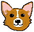 [9664c4] corgi