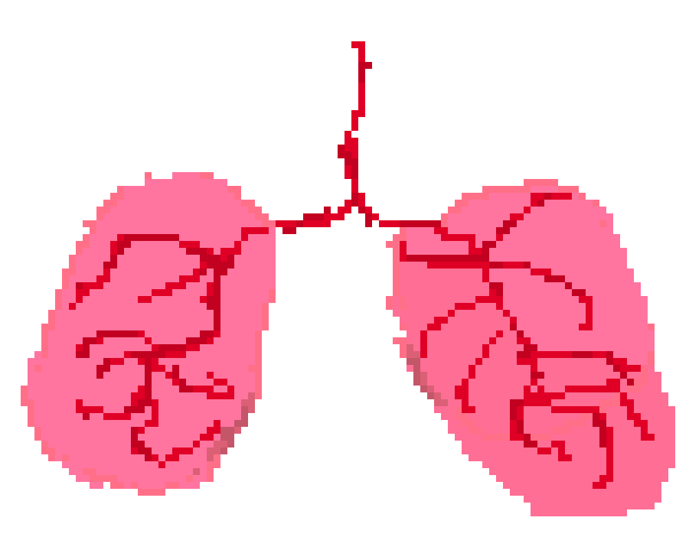 [401978] PIXEL LUNGS