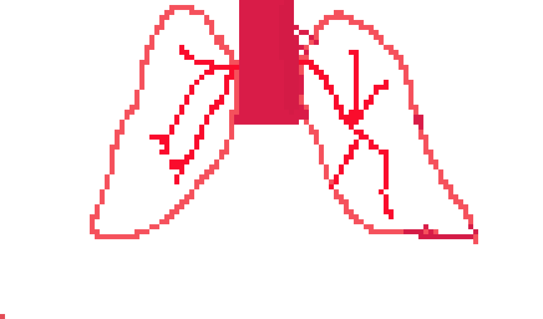 [570043] My interesting pixel lungs