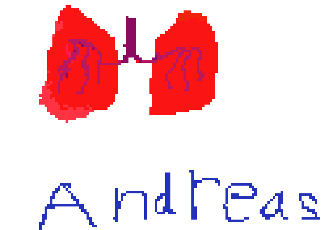 [2b4978] Andreas lungs