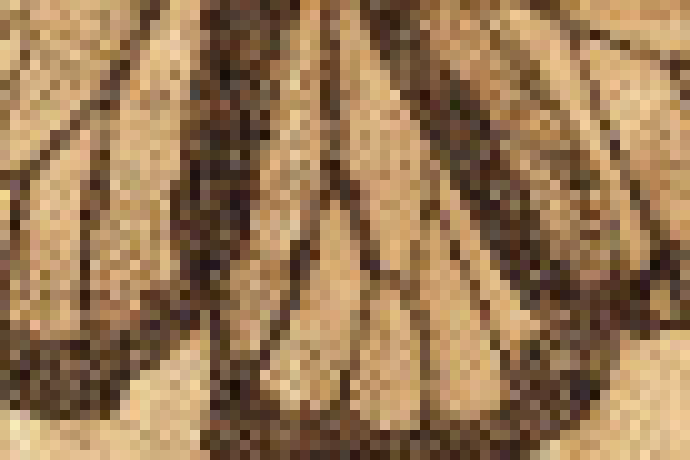 [2371c2] hbkh