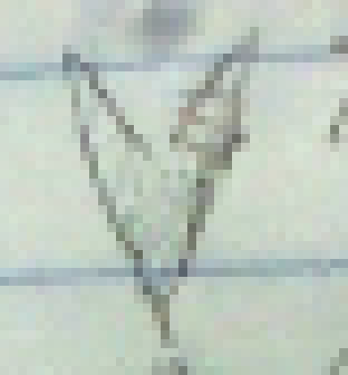 [d0698a] --. . - / --- -.-. - .-.-.