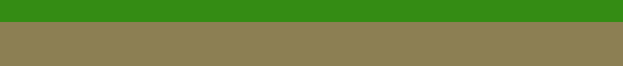 [ddd8a4] Ground
