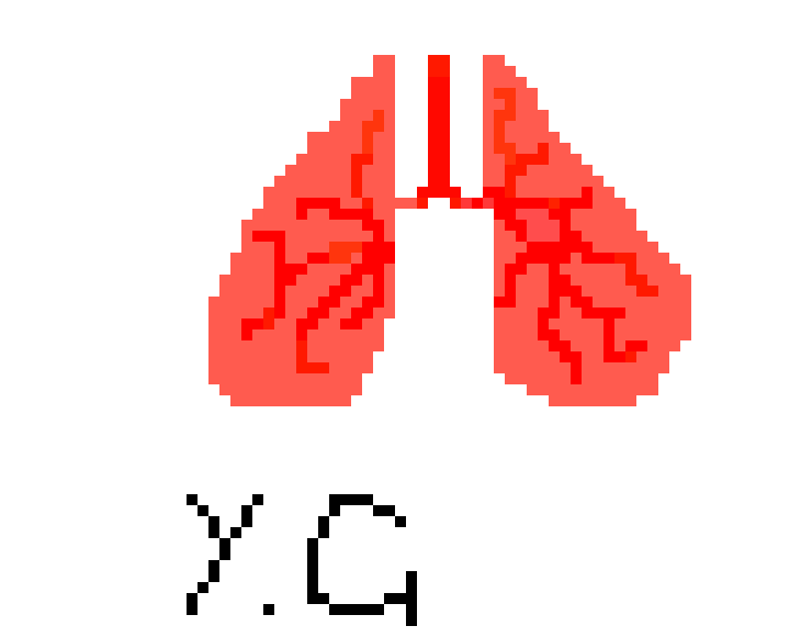 [2b4978] lungs pixel