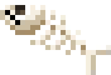 [5b075d] desertfish