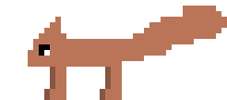 [9664c4] Squirrel