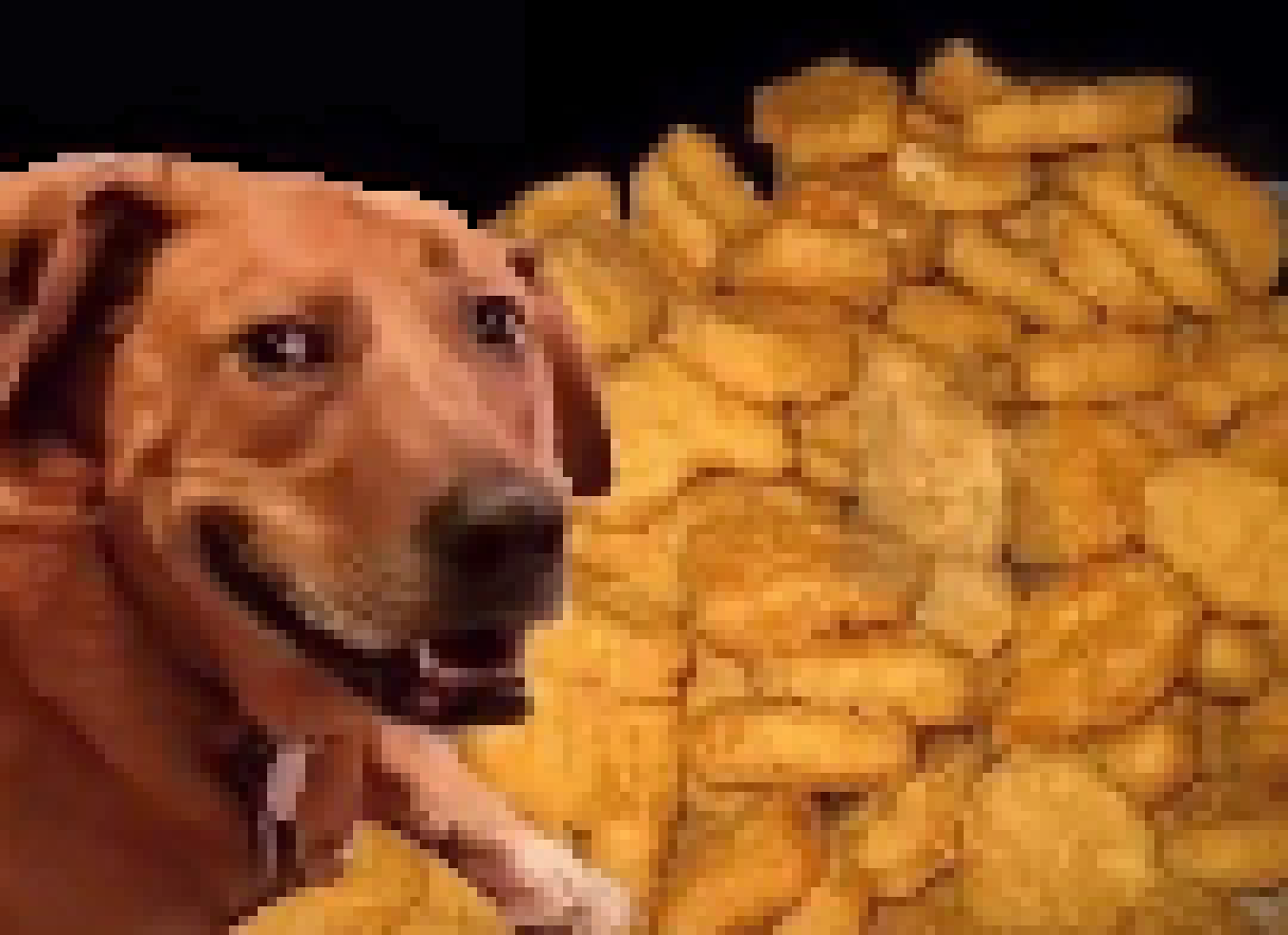[46bd03] (nuggets.)