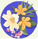 [54f0aa] 1