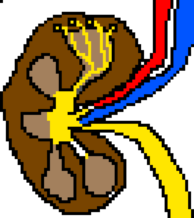 [9664c4] a kidney inside