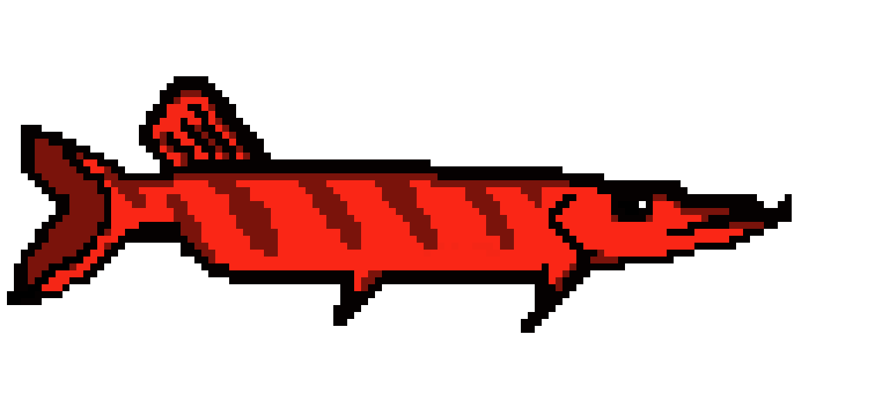 [9664c4] shark