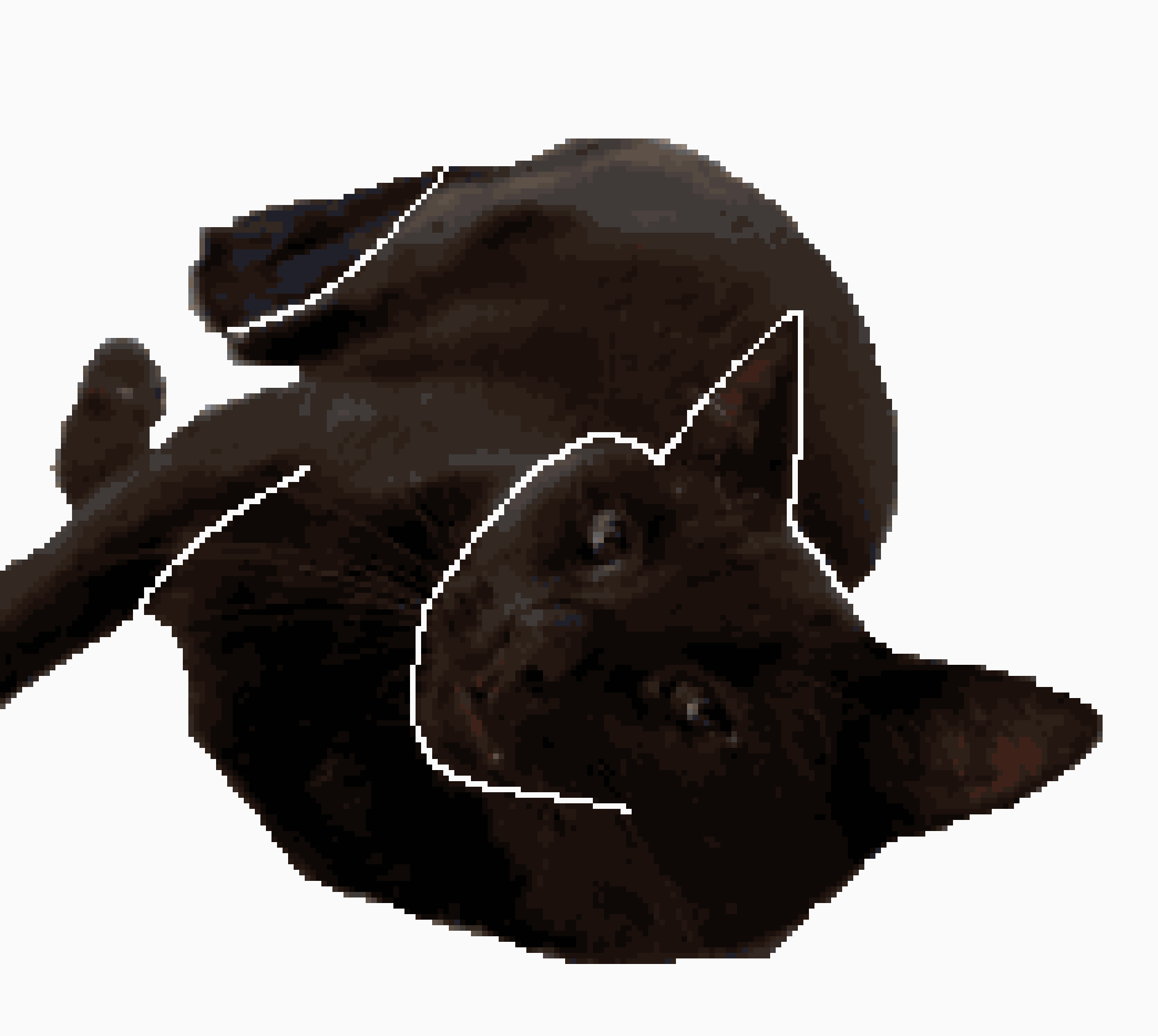 [8619c7] kitty