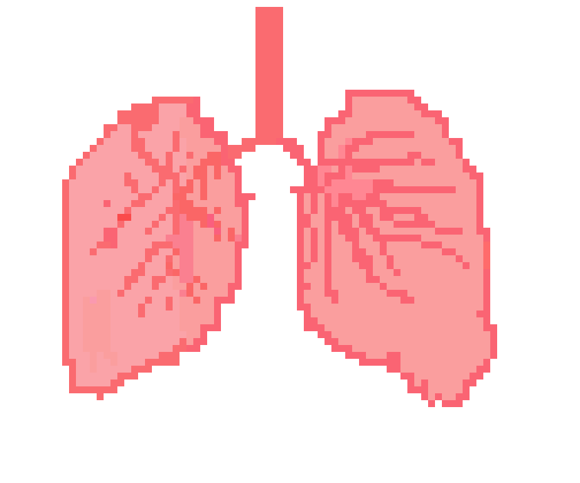 [2b4978] emma's lungs