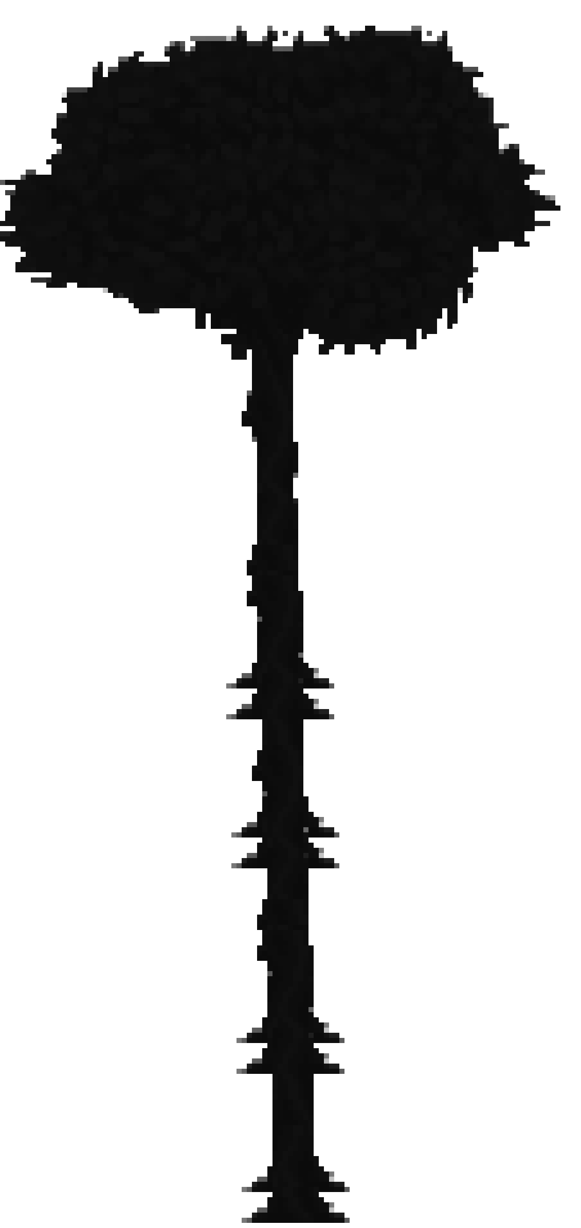 [77a495] Untitled