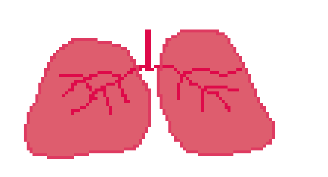 [401978] pixel lungs