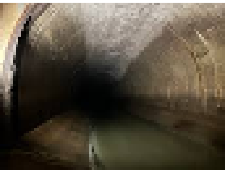 [bce8e5] john and jimmy and eku and pepper and misuti and bloob and danger and lexi and seemingly and dell move west. everyone sees openings to the south and east.
