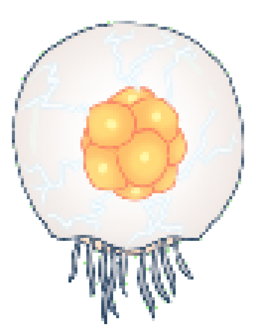 [990543] Uumuu (Hollow Knight) (Free to use)