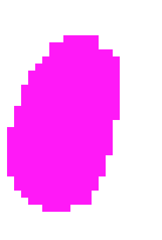 [9664c4] pink potatoe