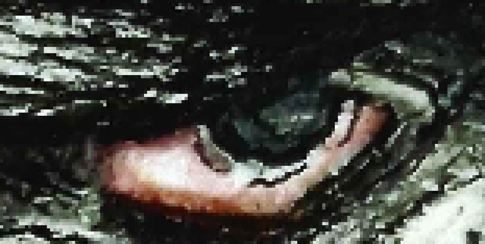 [265754] pixleupdate..... face..       . . . . . . . . . . . -[[Ace]]updated