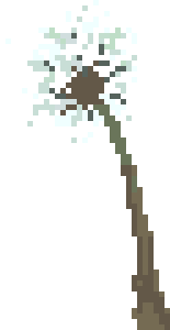 [100cc3] dandelion4