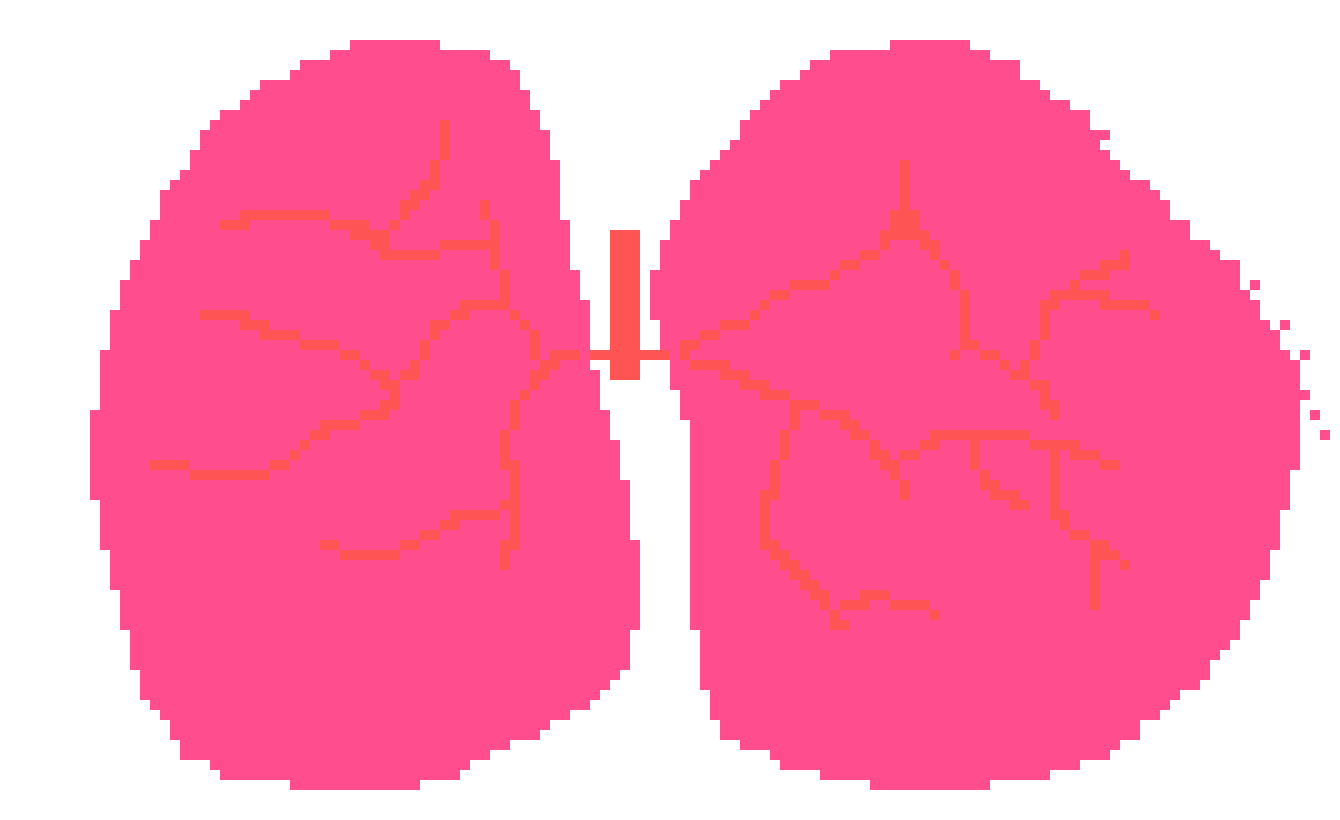 [401978] pixel lungs