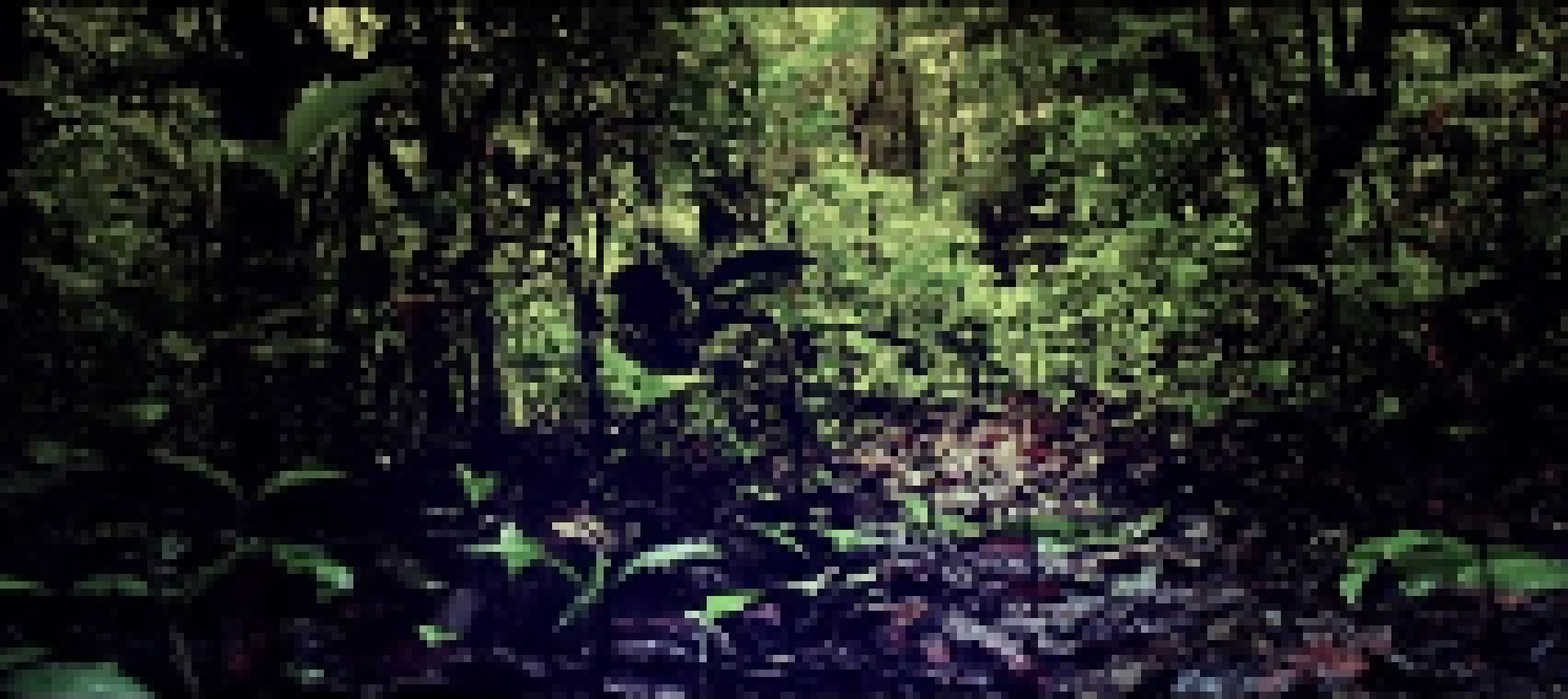 [f51b9d] rain