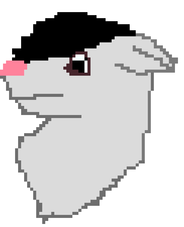 coyote