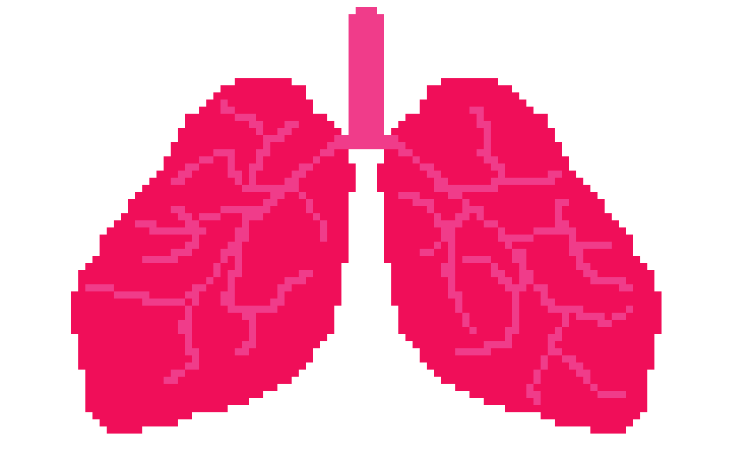 [2b4978] lungs  rachel