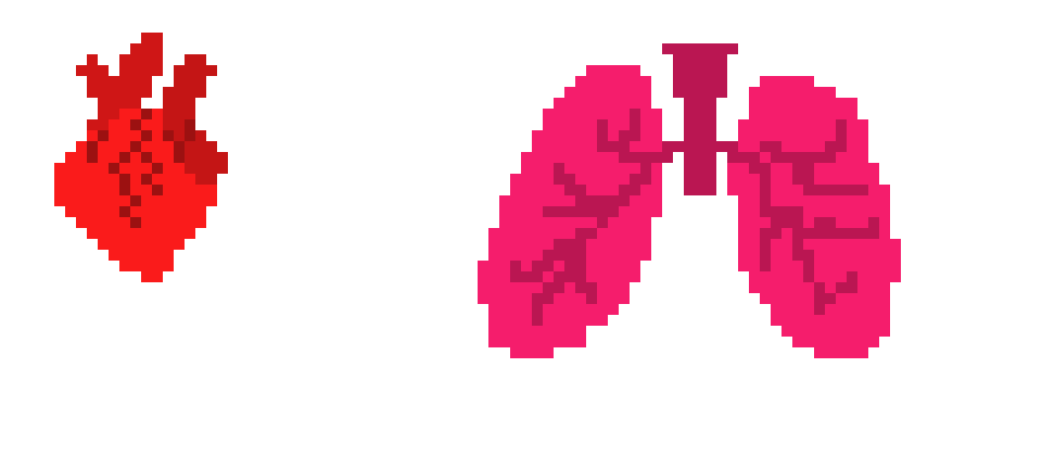 [106076] Heart and lungs