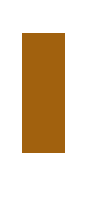 [9664c4] guitar neck