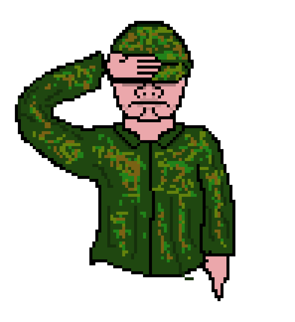 Draft of Scout