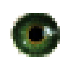 [765f63] Eye