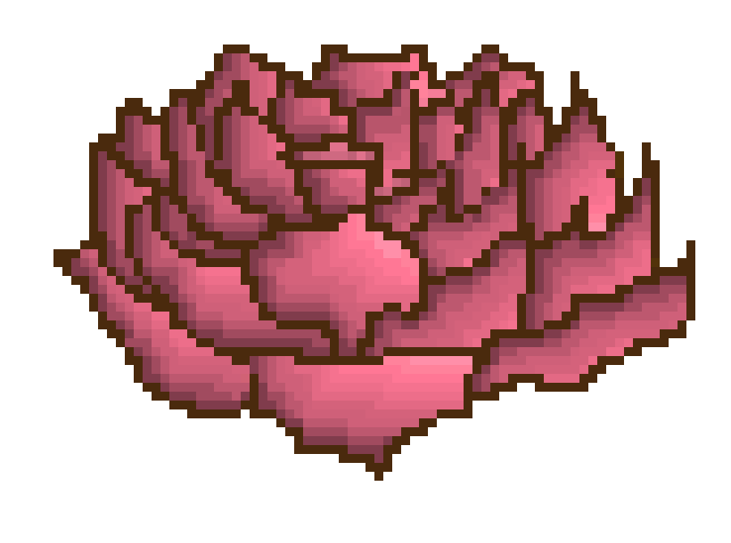[9664c4] a rose