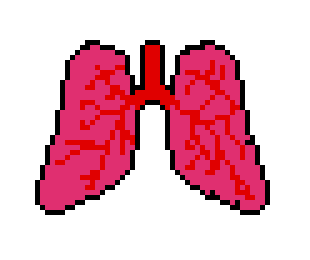[0cc342] lungs diagram